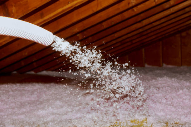 Best Insulation Inspection Services  in Hastings, PA