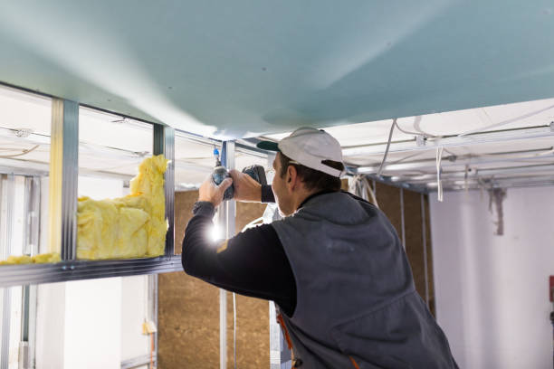 Best Insulation Removal  in Hastings, PA