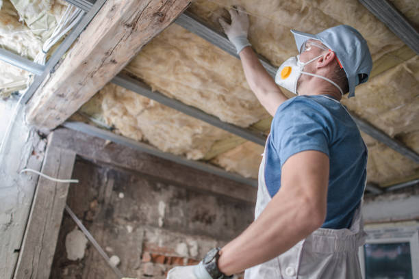 Best Insulation Contractor Near Me  in Hastings, PA