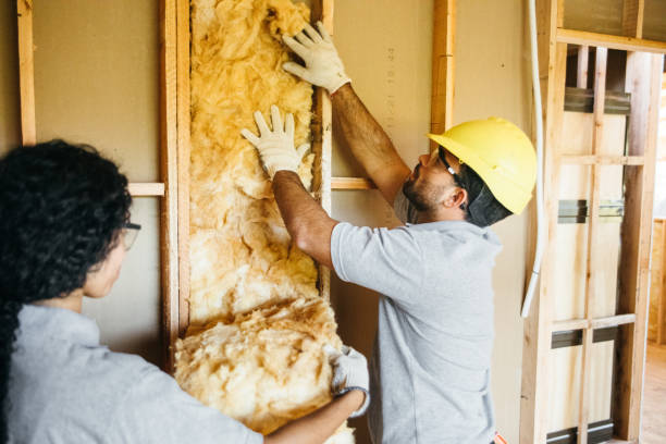 Best Local Insulation Services  in Hastings, PA