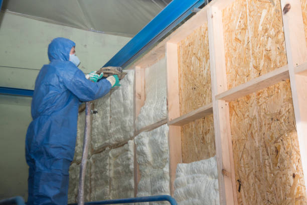 Best Insulation for New Construction  in Hastings, PA