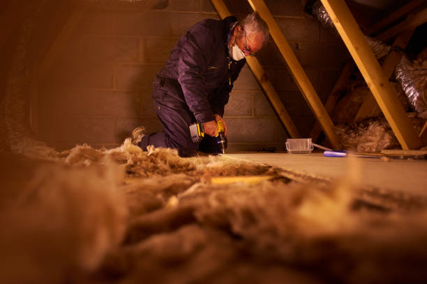 Best Professional Insulation Contractor  in Hastings, PA